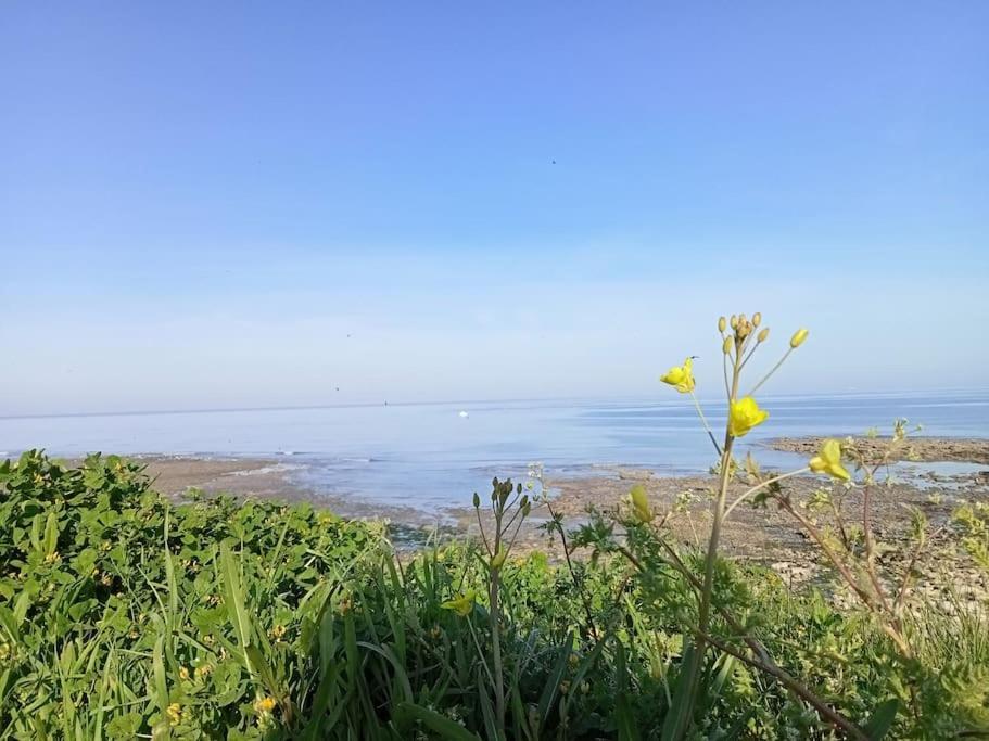 Soleil D'Opale Et Son Grand Jardin Villa Wimereux Exterior foto